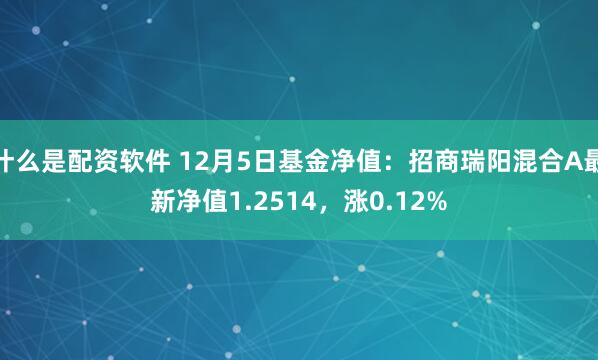什么是配资软件 12月5日基金净值：招商瑞阳混合A最新净值1.2514，涨0.12%