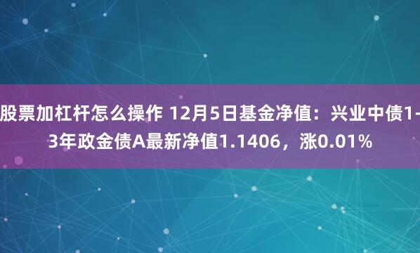 股票加杠杆怎么操作 12月5日基金净值：兴业中债1-3年政金债A最新净值1.1406，涨0.01%