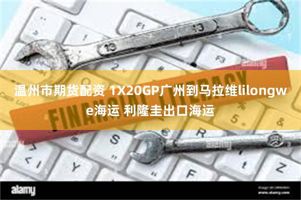 温州市期货配资 1X20GP广州到马拉维lilongwe海运 利隆圭出口海运