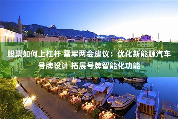 股票如何上杠杆 雷军两会建议：优化新能源汽车号牌设计 拓展号牌智能化功能