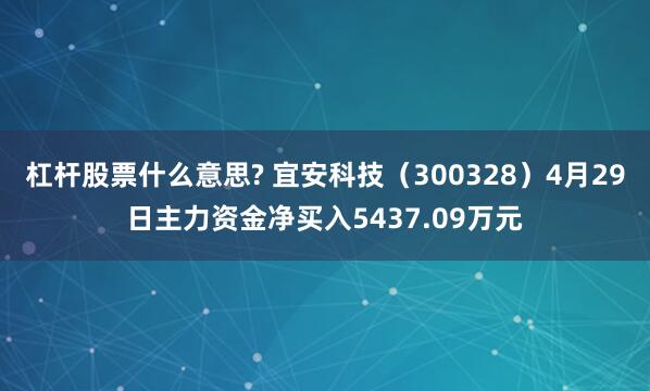 杠杆股票什么意思? 宜安科技（300328）4月29日主力资金净买入5437.09万元