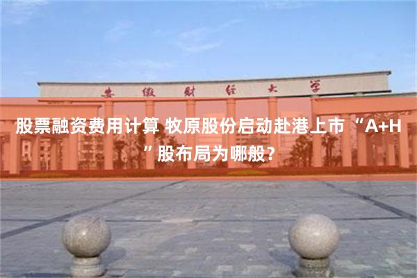 股票融资费用计算 牧原股份启动赴港上市 “A+H”股布局为哪般？