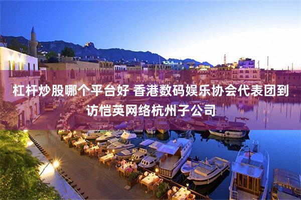 杠杆炒股哪个平台好 香港数码娱乐协会代表团到访恺英网络杭州子公司