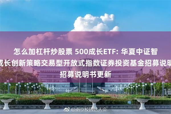 怎么加杠杆炒股票 500成长ETF: 华夏中证智选500成长创新策略交易型开放式指数证券投资基金招募说明书更新