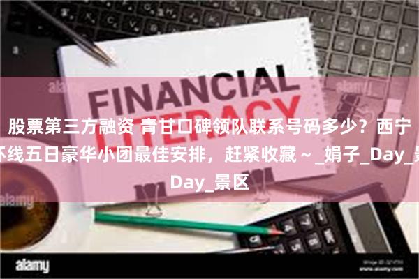 股票第三方融资 青甘口碑领队联系号码多少？西宁大环线五日豪华小团最佳安排，赶紧收藏～_娟子_Day_景区