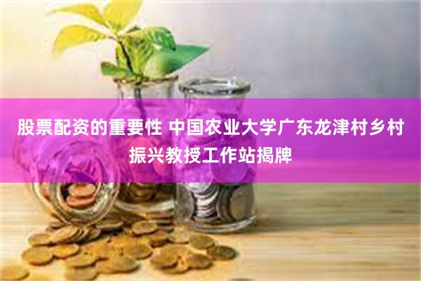 股票配资的重要性 中国农业大学广东龙津村乡村振兴教授工作站揭牌