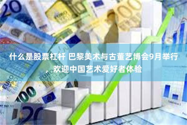 什么是股票杠杆 巴黎美术与古董艺博会9月举行，欢迎中国艺术爱好者体验