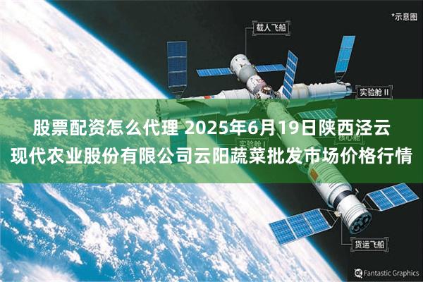 股票配资怎么代理 2025年6月19日陕西泾云现代农业股份有限公司云阳蔬菜批发市场价格行情