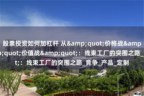 股票投资如何加杠杆 从&quot;价格战&quot;到&quot;价值战&quot;：线束工厂的突围之路_竞争_产品_定制
