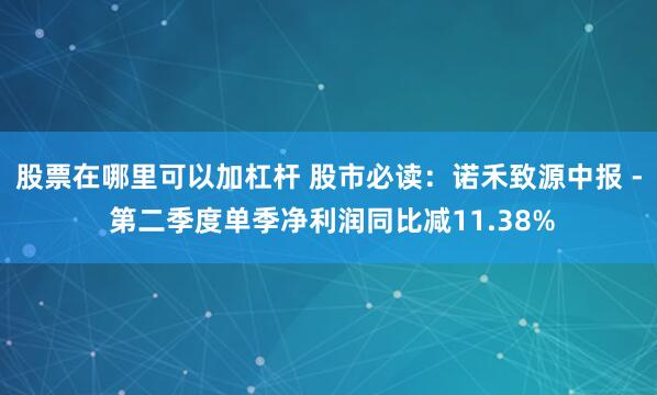 股票在哪里可以加杠杆 股市必读：诺禾致源中报 - 第二季度单季净利润同比减11.38%